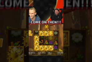 DOUBLING the bankroll on Wild Swarm! large WIN!