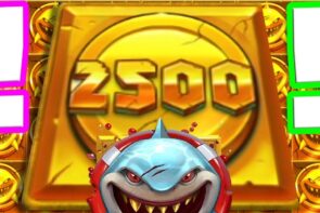 Streamers Biggest Wins №37