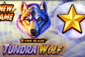novel Game Tundra Wolf dorsum-TO-dorsum BONUS HUGE WIN Chumba - casino bonus
