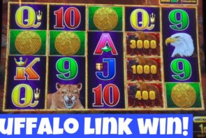 BUFFALO LINK large WIN! ? PLUS STUFFED COINS WITH @sisteryoshi #yaamava #casino bonus #slotmachine #bonus