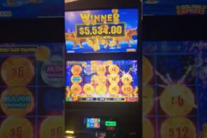 Bull Rush meets Golden Empress – a large Win Showdown! ???