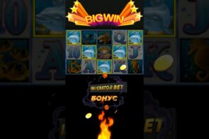 Dolphin's Pearl large WIN - 5 Dolphin's SUPER BONUS JACKPOT #shorts #win #asmr #game
