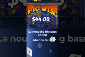 LA NOUVELLE large BASS QUI REGALE #shorts #small  #bigwin #casino bonus