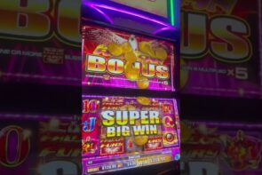 MAX BET‼️ SUPER large WIN ON AINSWORTH FALCON FURY SLOT MACHINE? #casino bonus #slots #shorts #fyp