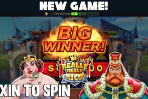 REALLY REELY RICH! **novel GAME** BONUS + large WINS on Chumba casino bonus