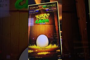large WIN ON THIS CHICKEN? LETS regain OUT! #CluckCluckCash #bonusgames #casino bonus #slots
