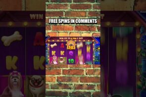 large WIN casino bonus | THE DOGS HOUSE WIN | BONUS X1000 | casino bonus SLOTS | casino bonus ONLINE #casino bonus #shorts