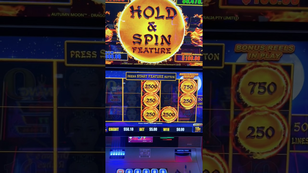 large Win on My Favorite Dragon Link Slot Machine #autumnmoon