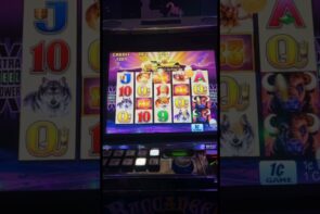large win on buffalo #casino bonus #jeopardy #casinogame #bigwin #thecasino #casinogames #gambling #gambler