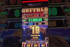 large win on special characteristic! large Buffaloes Strike over again! #buffalolink