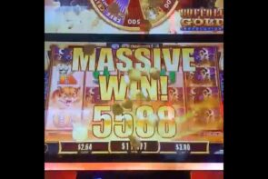 BOOM! Huge fauna alter for large win!  #casino bonus  #slots  #money #wrauberto