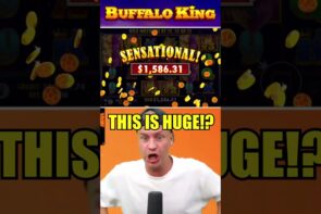 Buffalo Rex BONUS Pays HUGE!!! #jackpot #slots #casino bonus