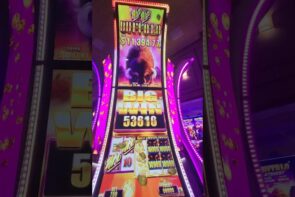 Buffalo!!  large Win with a Bigger loss. #casino bonus #casinogames #bigjackpot