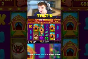 CRAZY SPINS On domestic dog HOUSE MEGAWAYS!! (HUGE WIN)