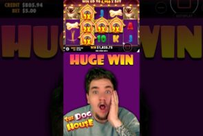 Canis familiaris HOUSE WILDS EVERYWHERE - large WIN  (Metaspins casino bonus) #shorts