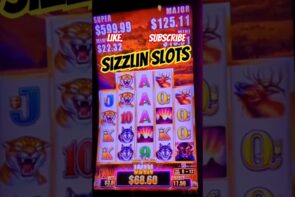 large Buffalo Win!! #shorts #slotmachines #sizzlinslots #casino bonus