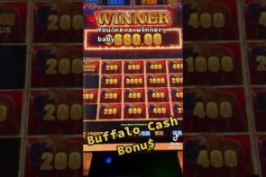 large WIN BUFFALO LINK SLOT MACHINE BONUS #buffalo #buffalolink #casino bonus #luckyslot. #bonus #slotwin