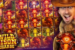 large WIN WILD BISON accuse ? CarailTV Best of Twitch #13