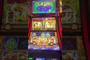 large WIN on Cash Crop slot machine bonus!! #casino bonus #slotbonus