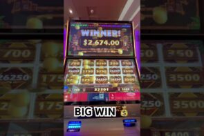 large Win #hardrocktampa #casino bonus #jackpot #slots #anthonymateos
