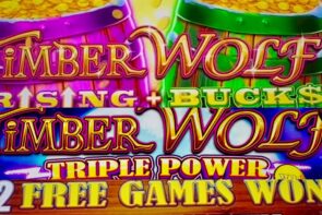 2 large WINS! TIMBER WOLF TRIPLE powerfulness