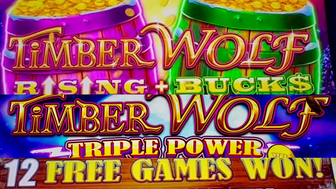 2 large WINS! TIMBER WOLF TRIPLE powerfulness