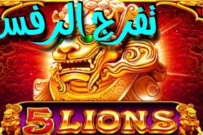 5 Lions Megaways large win ? تعكعيك صحيح ?