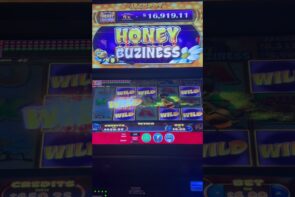 HONEY BUZINESS MAX BET large WIN  #casino bonus #slotwin #jackpot #slots #slotmachine #gambling