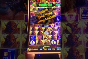 HUGE SLOT WIN on BUFFALO LINK SLOT MACHINE #vegas #casino bonus #slots #buffaloslots