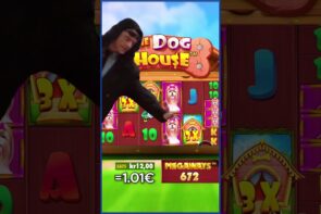 large Win on The domestic dog House Megaways?