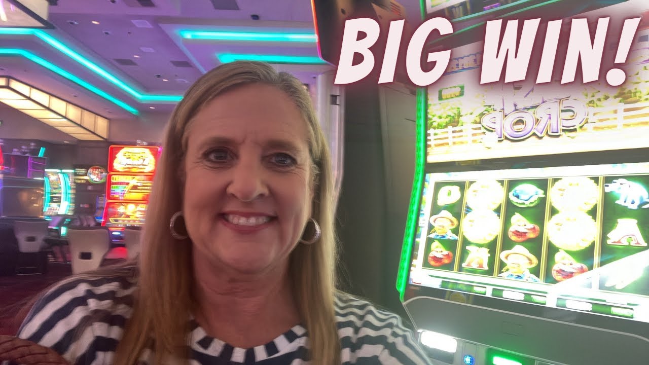 large Win on goodness ole’ Cash Crop #slots #slotmachine #casino