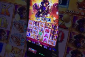 some other large WIN - didn't demand the bonus circular!  BUFFALO atomic number 79 SLOT MACHINES stone!!
