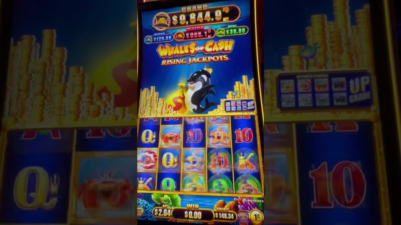 large WIN? WHALES OF CASH RISING JACKPOTS? #casino bonus #gambling