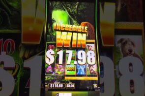 A Wild, Wild large Win #casino bonus #gaming #small