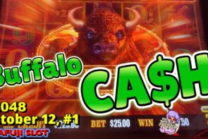 Big Win on Free Play Buffalo Cash Slot Machine at Pala Casino