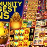 Community Biggest Wins – #38 / 2024