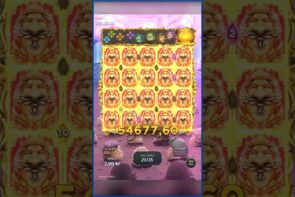 Big Win of Today: Sep 5, 2024 #royalpotato2