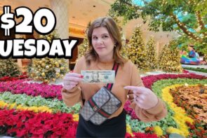Can $20 Land Me a Big Win on Slots at Wynn Las Vegas?
