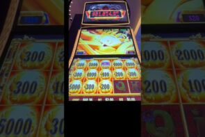 Dragon train Big coin big win on this bet #casino #slot #bigwincasino #casinogame #gamblinggame