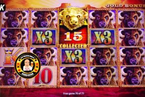 ALL 15 GOLD HEADS - The Buffalo King Hits HUGE JACKPOT