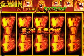 Big Win Slot Wild Life Slot Bonus and Free Spins Explosion!