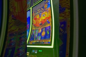 Big Win at the Casino with Rose Games and Slots