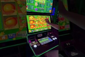 Big Win in the EGT Casino Part 5