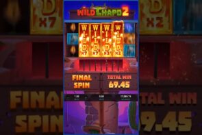 Big Win of Today: Mar 20, 2025 Wild Chapo 2