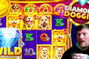 Gambling highlights: Diamond Doggies slot - crazy jackpot win!