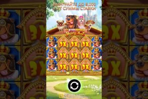 Big Win: New Doghouse for 1.9 Million Golden Paws