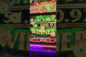 Big Win at Palace Station: A Remarkable Experience at K9 Slots