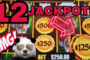 Big Win in My Life. This Is Insane. Panda Magic Is on Fire Up to $250 Spins!