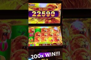 Big win on Lions Gold