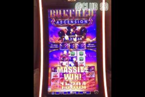 Buffalo Ascension Slot with an $8 Bet Leads to $800+ Big Win at Club99 Danang